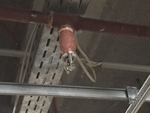 Sprinkler Kopf.jpg